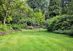 Optimiser l'expérience du jardin à Fauguernon
